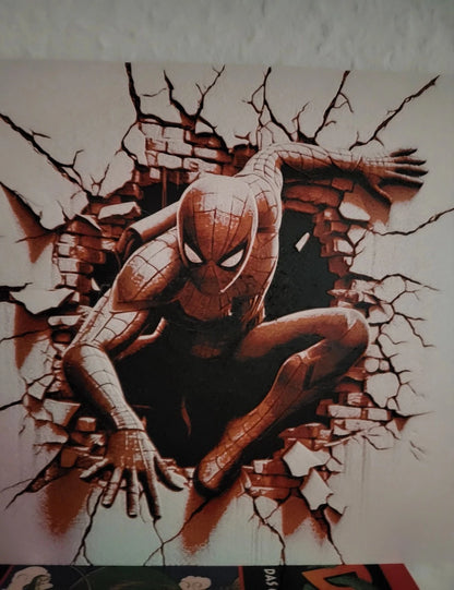 CARTEL SPIDERMAN I