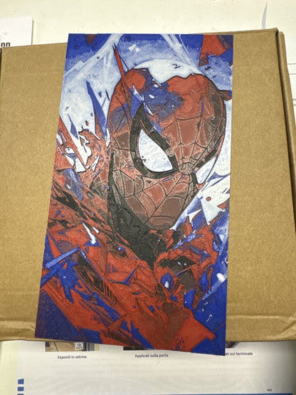 CARTEL SPIDERMAN VI